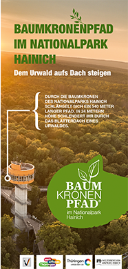 Baumkronenpfad Image Flyer