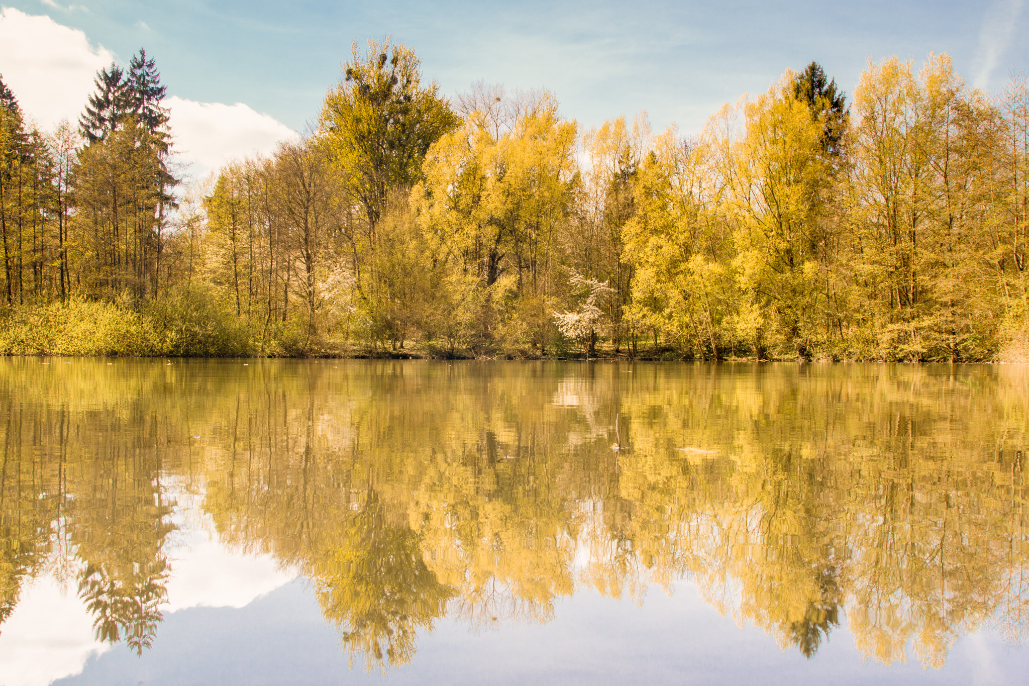 Der farbige Nationalpark Hainich zum Indian Summer